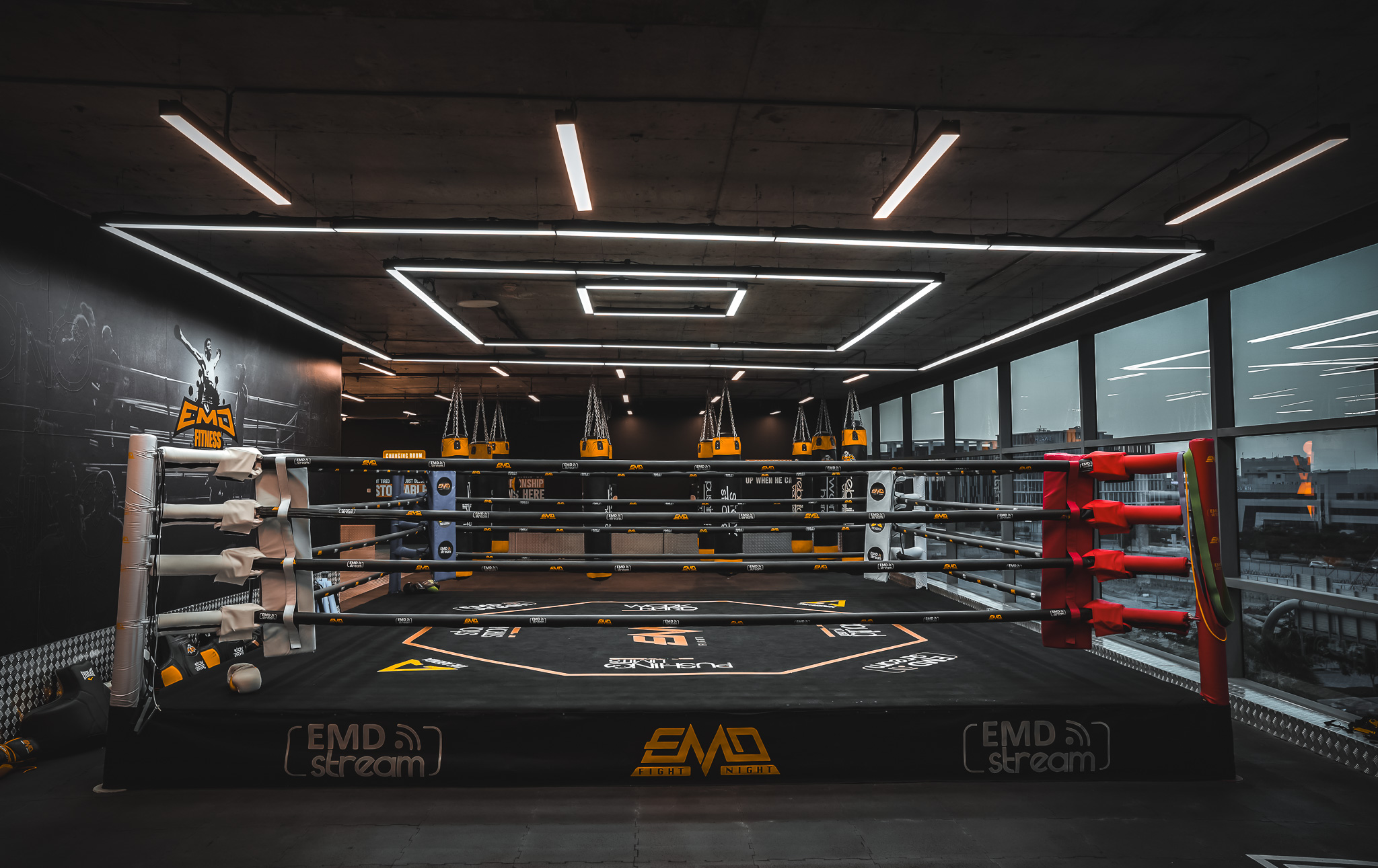 EMD Fitness boxing ring